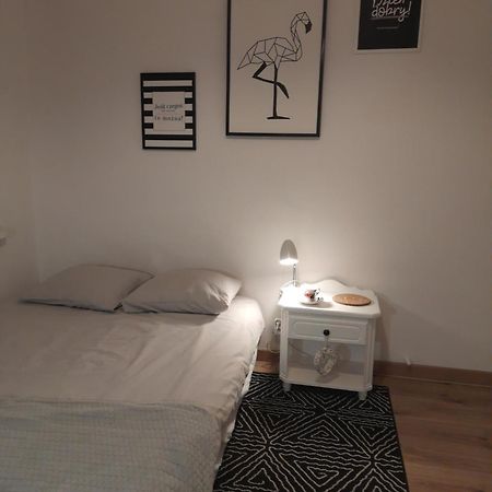 Mieszkanie 4-Pokojowe W Toruniu Przy Umk Exterior foto